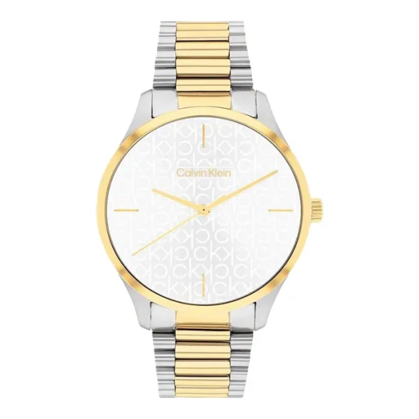 Calvin Klein Iconic 25200167 Ladies Silver Dial Dual Tone Stainless Steel Strap